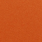 BN 19